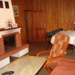 Salon z kominkiem
